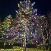 ヒメ日記 2025/12/29 05:52 投稿 あんな★癒しの極！清純派美女★ Bell～S級美女お姉様・人妻デリヘル～