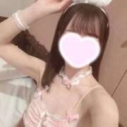 ヒメ日記 2026/02/05 02:01 投稿 あんな★癒しの極！清純派美女★ Bell～S級美女お姉様・人妻デリヘル～