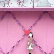 ヒメ日記 2026/04/28 11:26 投稿 あんな★癒しの極！清純派美女★ Bell～S級美女お姉様・人妻デリヘル～