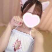 ヒメ日記 2026/08/11 15:40 投稿 あんな★癒しの極！清純派美女★ Bell～S級美女お姉様・人妻デリヘル～