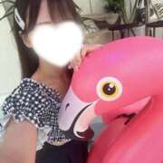 ヒメ日記 2026/10/13 15:27 投稿 あんな★癒しの極！清純派美女★ Bell～S級美女お姉様・人妻デリヘル～
