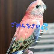 ヒメ日記 2025/05/20 16:10 投稿 みなみ エロティックマッサージ 錦糸町