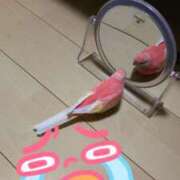 ヒメ日記 2025/09/06 09:11 投稿 みなみ エロティックマッサージ 錦糸町