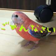 ヒメ日記 2025/12/16 11:59 投稿 みなみ エロティックマッサージ 錦糸町