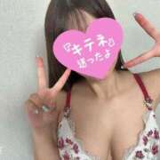 ヒメ日記 2025/05/28 06:24 投稿 スズ ファーストレディー