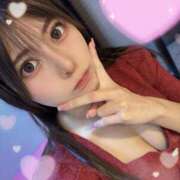 ヒメ日記 2025/11/14 10:49 投稿 スズ ファーストレディー