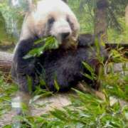 ヒメ日記 2025/12/25 18:58 投稿 スズ ファーストレディー