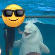 ヒメ日記 2026/01/04 09:01 投稿 スズ ファーストレディー