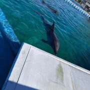 ヒメ日記 2026/01/08 10:22 投稿 スズ ファーストレディー