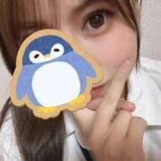 ヒメ日記 2026/01/15 08:19 投稿 スズ ファーストレディー