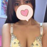 スズ 次回 ファーストレディー