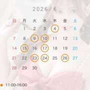 ヒメ日記 2026/06/04 12:04 投稿 スズ ファーストレディー