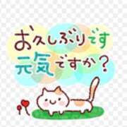 あおい こんばんはぁ✨ 人妻紹介センター