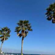 ヒメ日記 2025/05/21 11:45 投稿 れあ 即ヤリの極み新橋