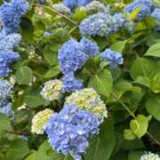 ヒメ日記 2025/05/26 11:10 投稿 れあ 即ヤリの極み新橋