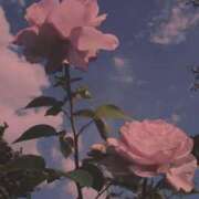 ヒメ日記 2025/06/25 18:25 投稿 れあ 即ヤリの極み新橋