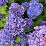 ヒメ日記 2025/07/16 09:01 投稿 れあ 即ヤリの極み新橋