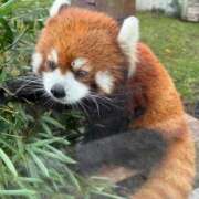 ヒメ日記 2025/10/03 10:47 投稿 れあ 即ヤリの極み新橋