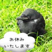 ヒメ日記 2025/08/23 08:58 投稿 葉瀬まき 五十路マダム愛されたい熟女たち岡山店（カサブランカグループ）