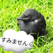 ヒメ日記 2025/09/03 17:32 投稿 葉瀬まき 五十路マダム愛されたい熟女たち岡山店（カサブランカグループ）