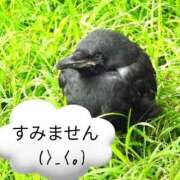 ヒメ日記 2025/09/17 15:20 投稿 葉瀬まき 五十路マダム愛されたい熟女たち岡山店（カサブランカグループ）