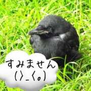 ヒメ日記 2025/10/12 18:46 投稿 葉瀬まき 五十路マダム愛されたい熟女たち岡山店（カサブランカグループ）