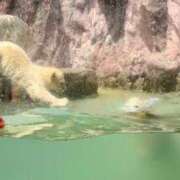 ヒメ日記 2025/06/11 11:53 投稿 ひすい Welcome Cafe(ウェルカムカフェ) 八王子本店