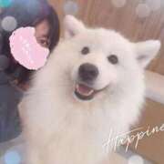 ヒメ日記 2025/06/30 21:13 投稿 ひすい Welcome Cafe(ウェルカムカフェ) 八王子本店