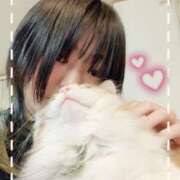 ヒメ日記 2025/07/03 10:23 投稿 ひすい Welcome Cafe(ウェルカムカフェ) 八王子本店