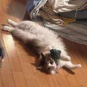 ヒメ日記 2025/08/17 19:24 投稿 ひすい Welcome Cafe(ウェルカムカフェ) 八王子本店