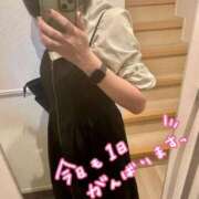 ヒメ日記 2025/09/12 11:34 投稿 ひすい Welcome Cafe(ウェルカムカフェ) 八王子本店