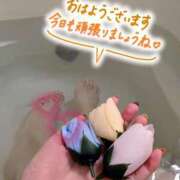 ヒメ日記 2025/11/01 10:15 投稿 ひすい Welcome Cafe(ウェルカムカフェ) 八王子本店