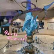 ヒメ日記 2026/05/11 14:03 投稿 ひすい Welcome Cafe(ウェルカムカフェ) 八王子本店