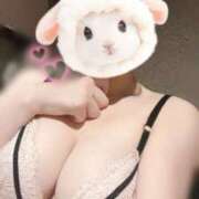 ヒメ日記 2026/04/09 06:11 投稿 ましろ ビギナーズ和歌山