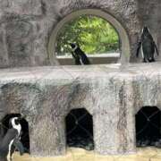 ヒメ日記 2025/06/20 13:47 投稿 夢野(ゆめの) 人妻最後の砦 小山店