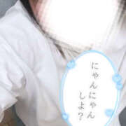 ヒメ日記 2025/05/12 09:29 投稿 ゆいか モアグループ小山人妻花壇