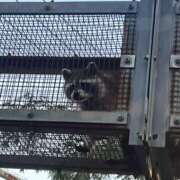 ヒメ日記 2025/08/18 10:18 投稿 ゆいか モアグループ小山人妻花壇