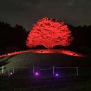 ヒメ日記 2025/09/22 12:00 投稿 ゆいか モアグループ小山人妻花壇