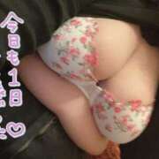 ヒメ日記 2026/02/13 16:30 投稿 こはる 鹿児島ちゃんこ 薩摩川内店