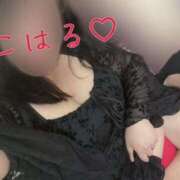 ヒメ日記 2026/02/22 08:31 投稿 こはる 鹿児島ちゃんこ 薩摩川内店