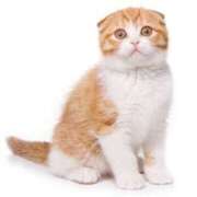 ヒメ日記 2026/02/22 15:02 投稿 こはる 鹿児島ちゃんこ 薩摩川内店