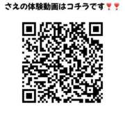 ヒメ日記 2026/07/31 13:10 投稿 さえ Ｓ＆Ｍ極嬢