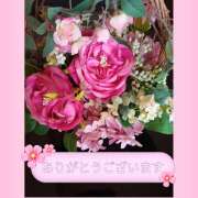 ヒメ日記 2025/06/08 09:16 投稿 牧原舞 五十路マダム宇都宮店(カサブランカグループ)