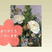 ヒメ日記 2025/06/15 08:58 投稿 牧原舞 五十路マダム宇都宮店(カサブランカグループ)