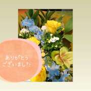 ヒメ日記 2025/07/13 12:48 投稿 牧原舞 五十路マダム宇都宮店(カサブランカグループ)