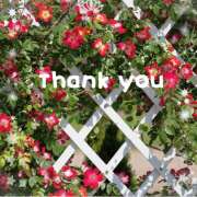 ヒメ日記 2025/09/13 09:22 投稿 牧原舞 五十路マダム宇都宮店(カサブランカグループ)