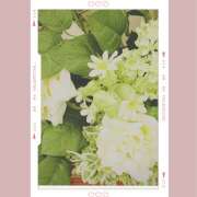 ヒメ日記 2025/10/18 22:20 投稿 牧原舞 五十路マダム宇都宮店(カサブランカグループ)