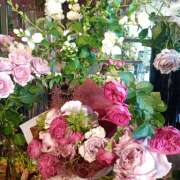 ヒメ日記 2026/09/01 21:34 投稿 牧原舞 五十路マダム宇都宮店(カサブランカグループ)