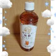 ヒメ日記 2026/09/04 21:28 投稿 牧原舞 五十路マダム宇都宮店(カサブランカグループ)