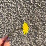 ヒメ日記 2025/05/01 18:29 投稿 一果-いちか【FG系列】 ほんつま千葉店（FG系列）